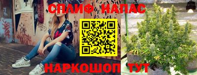 шишки Тулун